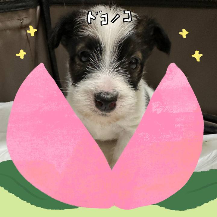 F44d3525 1029 487f b8fb dda2ad1239d1 1772019332649