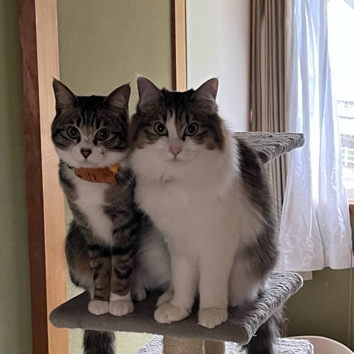 F44d63f6 eec4 4964 b2af 9edafada2c25 1713237836815