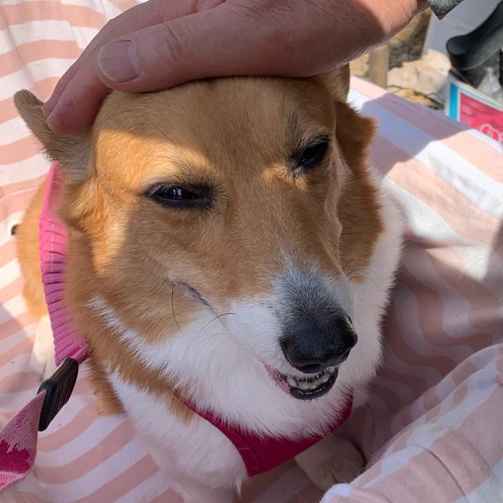 F44d72b9 baac 470c b9a0 134da9a25e76 1680232434881