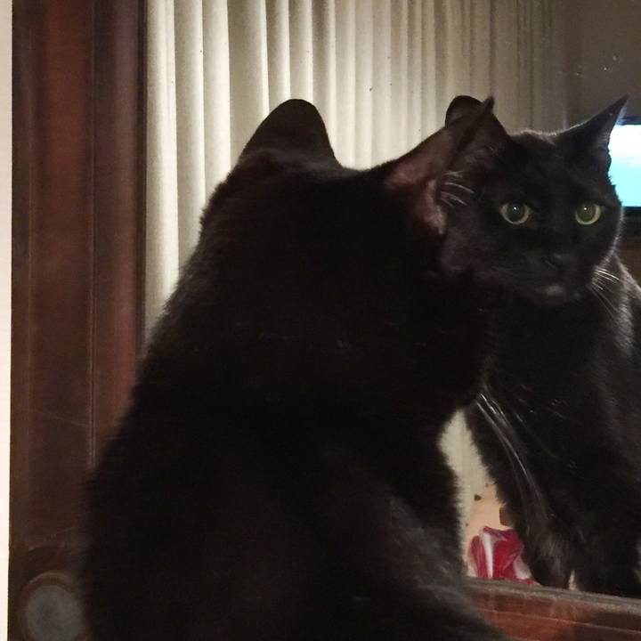 F44d7567 39c6 4d24 910c 6c9f0a56de2b 1529159781532