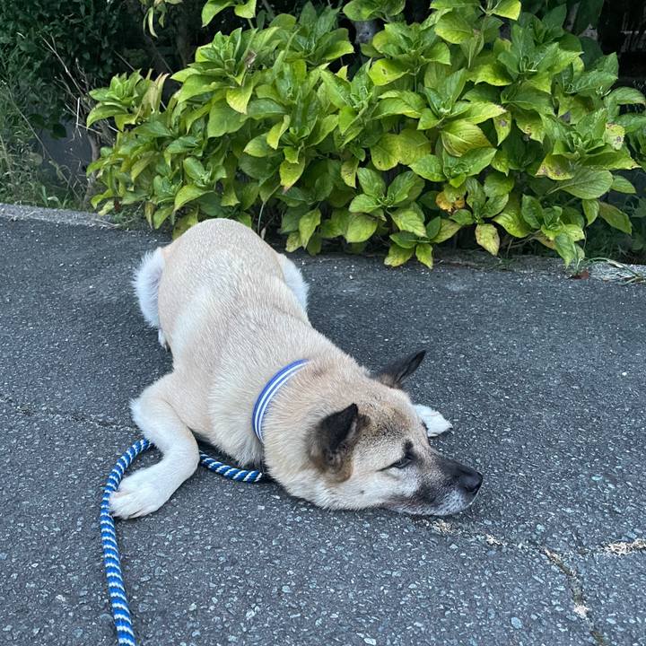 F44dbb47 109c 4570 b5c7 b150a6844996 1661861081281