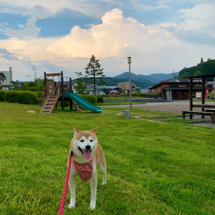 F44de95b 1afd 4526 9d44 07ef601f29a1 1691916656005