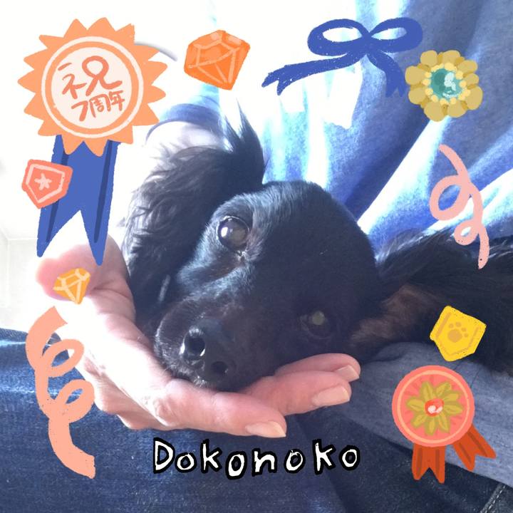 F44decb3 253c 4c3b aa67 40a9d6dfe7ed 1685934929417