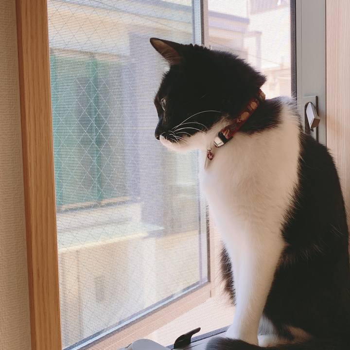 F44df858 10fe 40e6 aa21 b835df3326fa 1561159068583