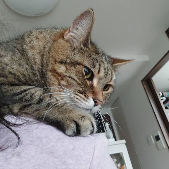 F44e0cad e917 445d a046 44473bf5ccc4 1686607146907