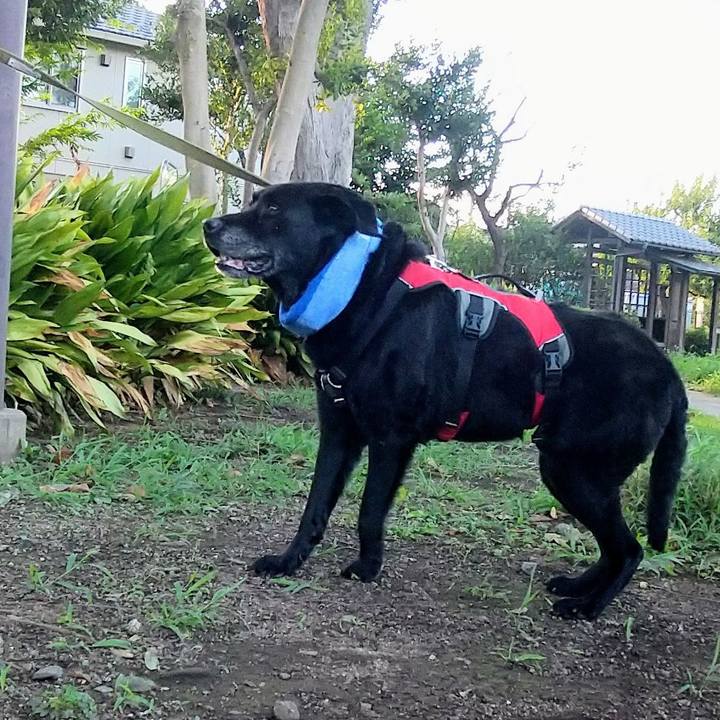 F44e0f23 ffe6 403f b438 fb983407c083 1692878274891