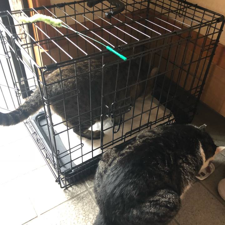 F44e6a6e c78a 4c14 8a60 d81ab578c4af 1537183156022