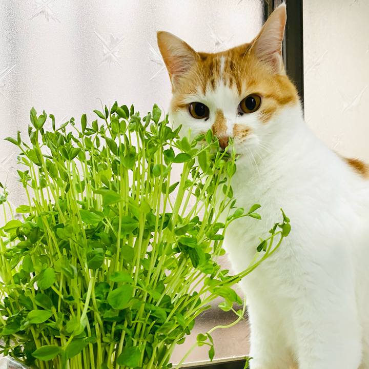 F44eccb4 9076 4008 b729 6635f9c663d5 1684504191674