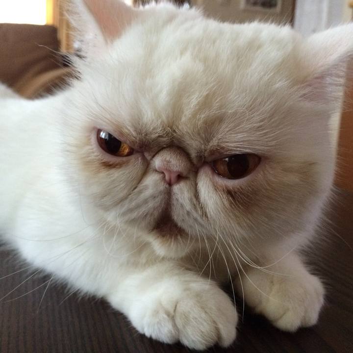 F44f03dc 5b06 4c6d a501 0c901821f033 1537368147059