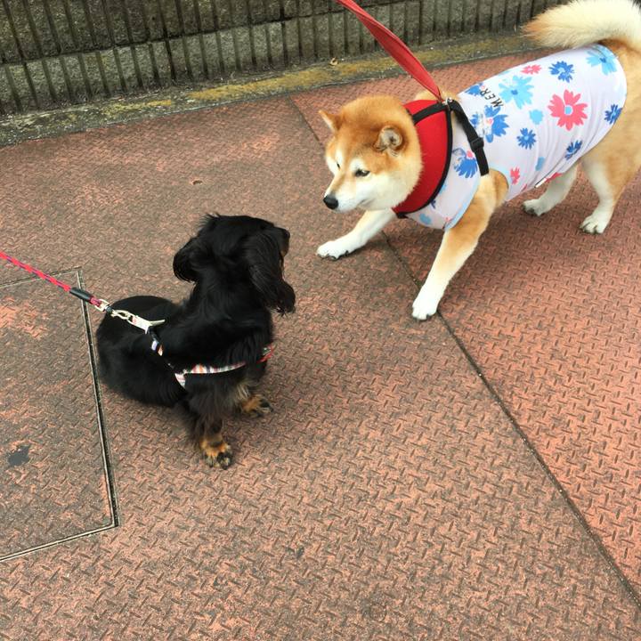 F44f09f1 ae23 4be1 9502 c61c3774b5ad 1596938937980