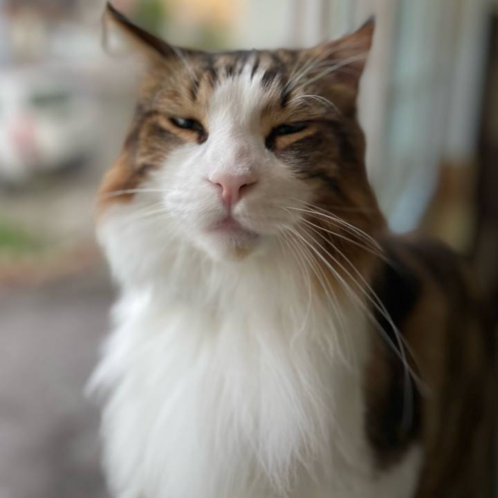 F44f3459 126c 42f8 bc3a 8e55fdfd75b0 1660508780846