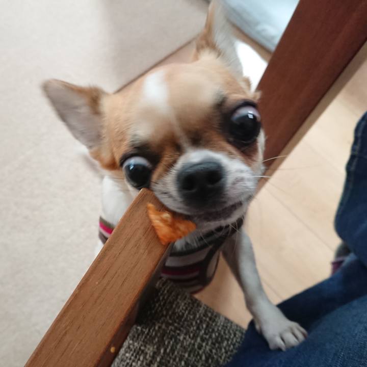 F44f4884 59a4 43b7 bc6d 33c3cd684786 1553585710300