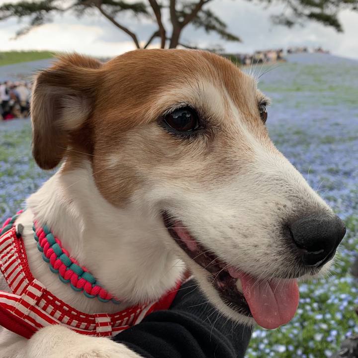 F44f78c0 5239 4b42 8196 981bb21e1581 1560743669324