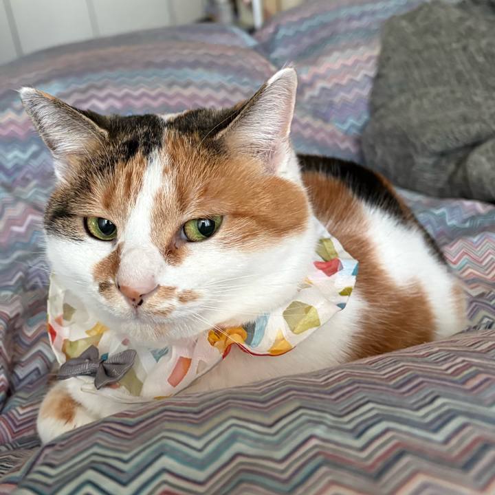 F44fbd90 6df9 429c add6 df30824899dd 1769125083752