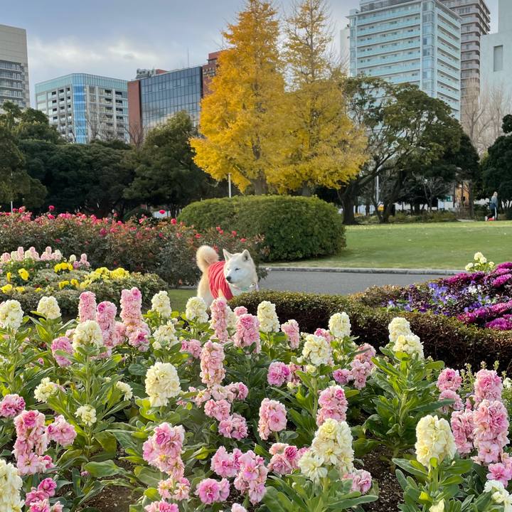 F44fc868 47a6 41a4 acd8 9519d476deac 1641722430340