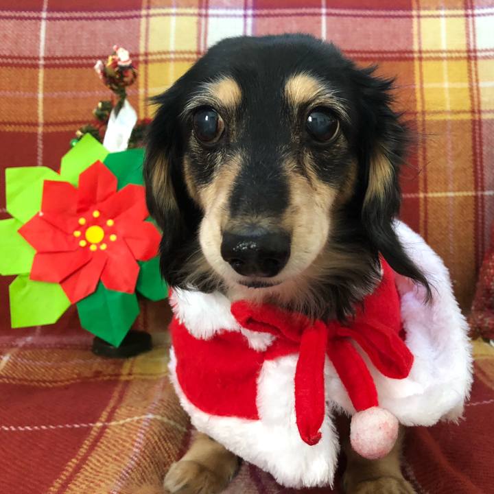 F44fe3aa 7263 458f 84c3 472d9978afd8 1639919134873