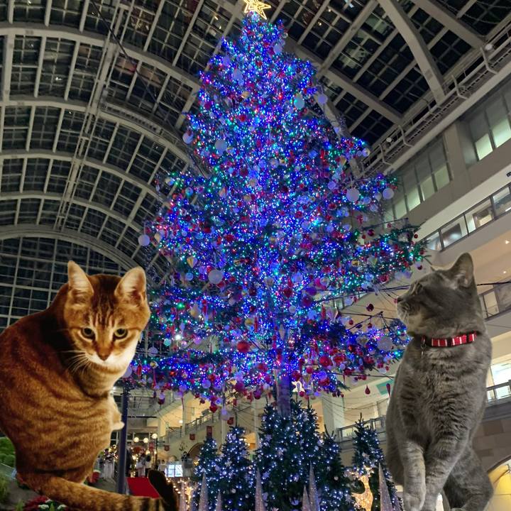 F44ff64c a9b0 41a3 a664 d38769c70800 1731592022875