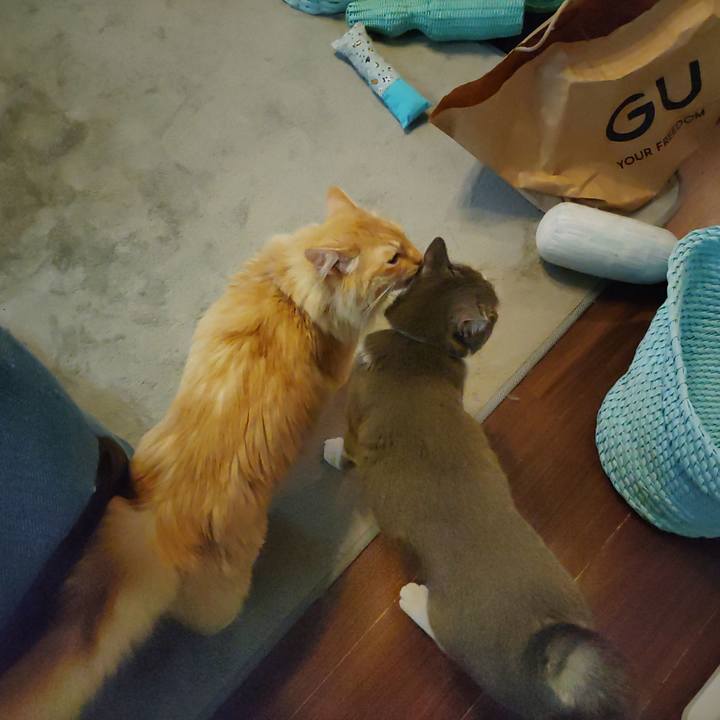 F45011b9 8381 4470 a86b 071a5baad008 1654815787958