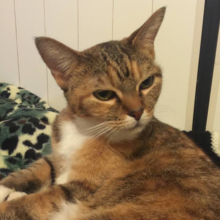 F4503a12 1c1a 4388 a08a 7e4bd6a98840 1575897860498