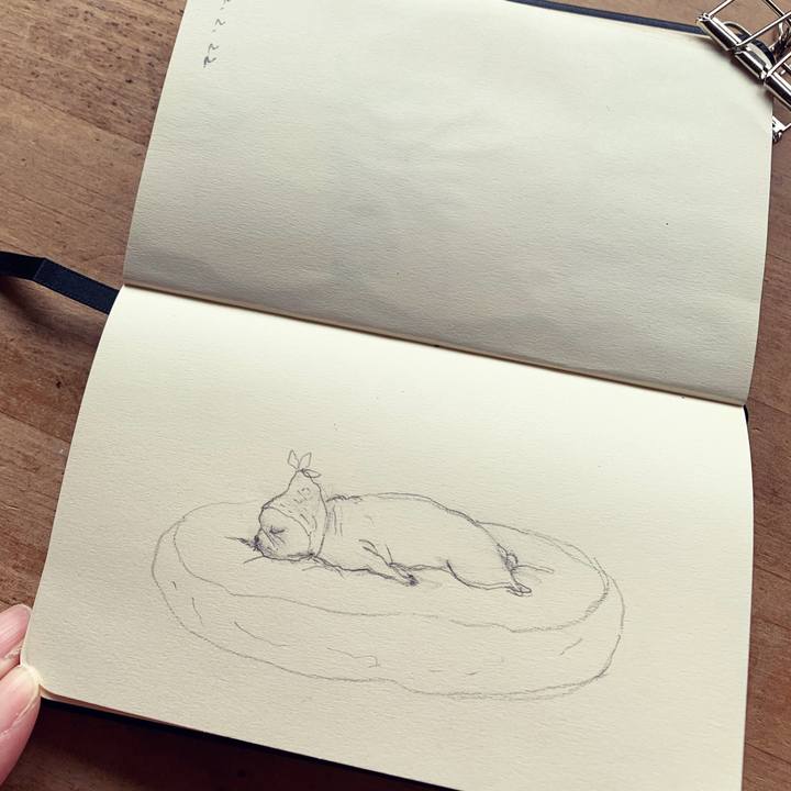 F4504d77 5fe6 4a1d a546 8472b1792994 1645575053237