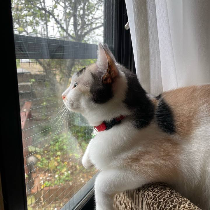 F4505df5 ff5c 43b9 bb1c 8b714bb0491e 1728169286363