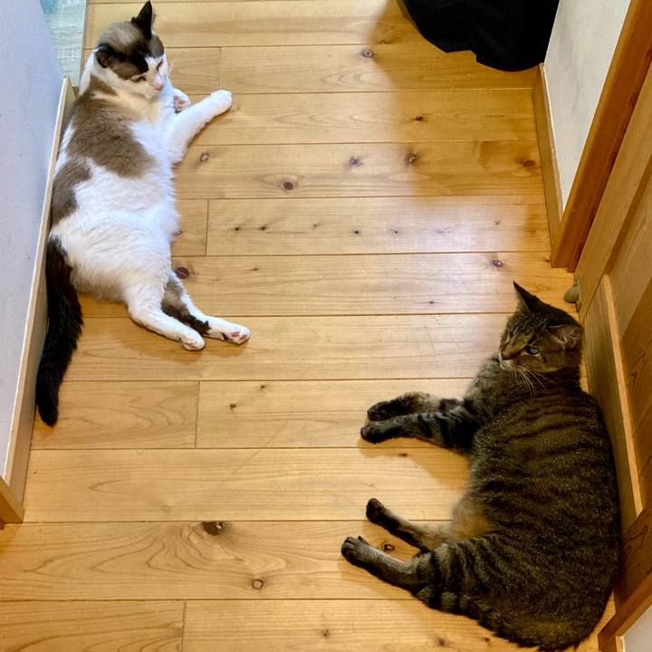 F450bdc1 3e4a 4066 99f9 2c1dc809a1bf 1658476435674