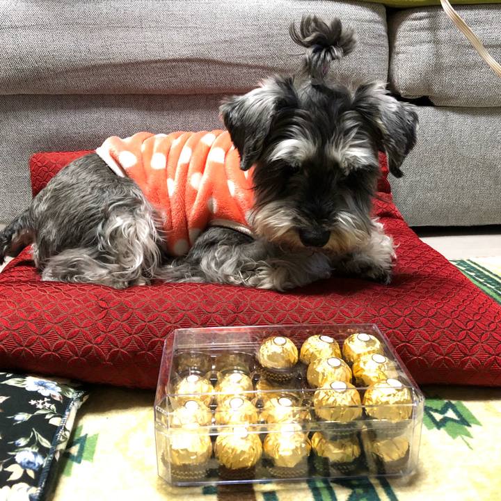 F450d2c5 67be 422f 9a35 84c96ddbb383 1645267104729