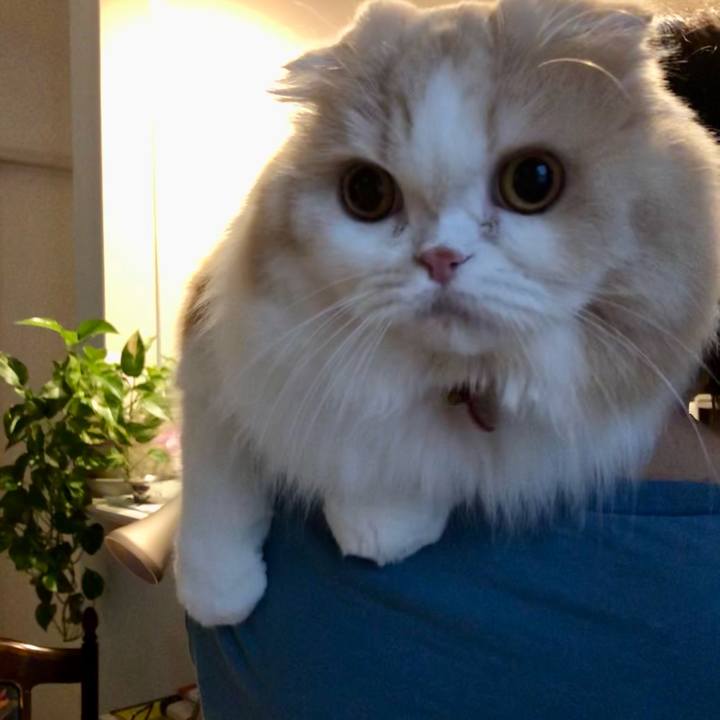 F450e5fa b9e2 408a 8ecd 3e67c28ab47c 1621638307652