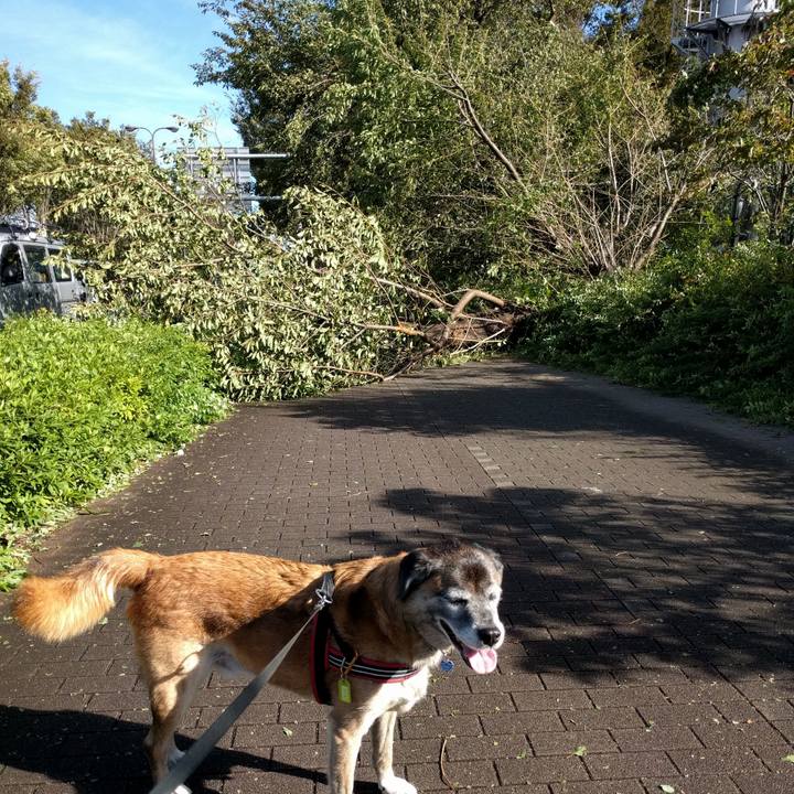 F4519f62 9163 4539 b0a4 ccf402a31cc9 1538354929691