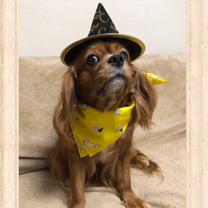 F451b177 2aa6 4349 9aee 0635a6a065a2 1603836517626