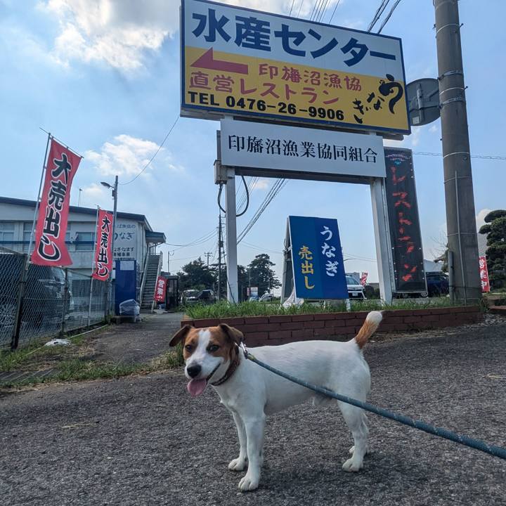 F451e193 0a49 41d0 ac37 490cd4ec6fa8 1721792085328