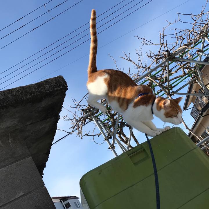 F451e4f6 143d 4b37 a018 0b343bb4bedd 1517461786339