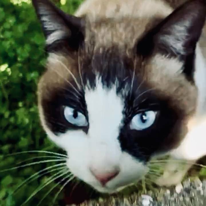 F451eff3 c5c3 4363 b1bf 69d596335e6e 1774252997474