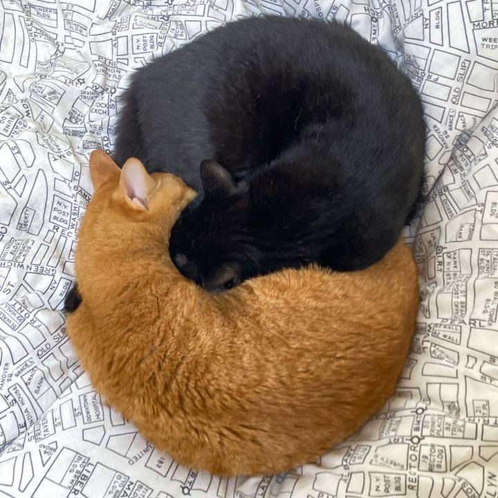 F45234a6 e276 4b9c bae5 55f4cbbc0a94 1777254585872