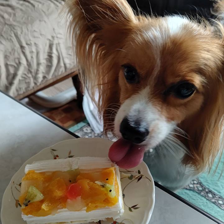 F452622f 5d14 4012 9900 eb4b7b34a788 1750745120083