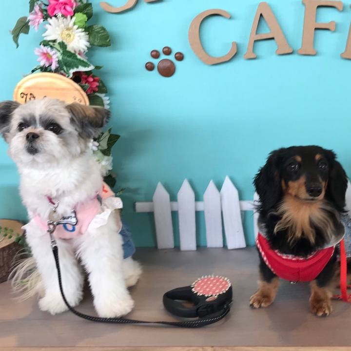 F45287ce 1e0f 4f48 b346 55125d1e0702 1552986567816