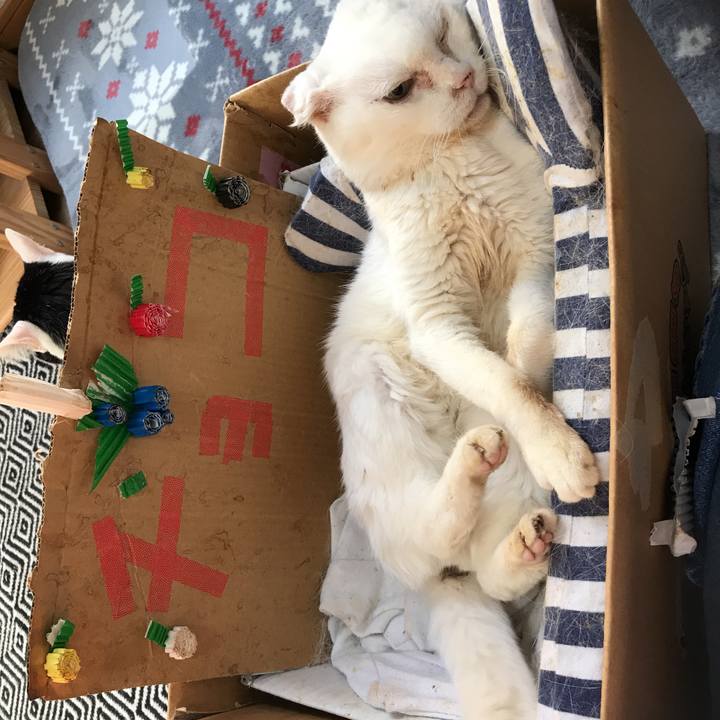 F452ae6e b4e7 4677 a301 437efdd0517f 1551223249612