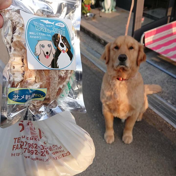 F452b2dd 5e3f 48d2 ae90 4b95bc2eb45a 1553697687831