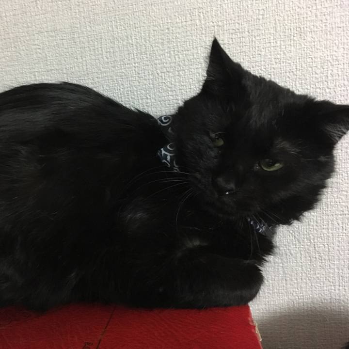 F452b637 019c 4eea b6a6 2aa5de5a6a3d 1551002641069