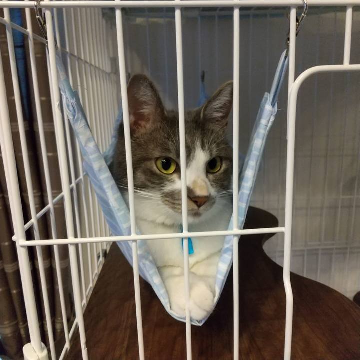 F452c1fa 5bf8 45d4 81cb bd1428855204 1601101882486