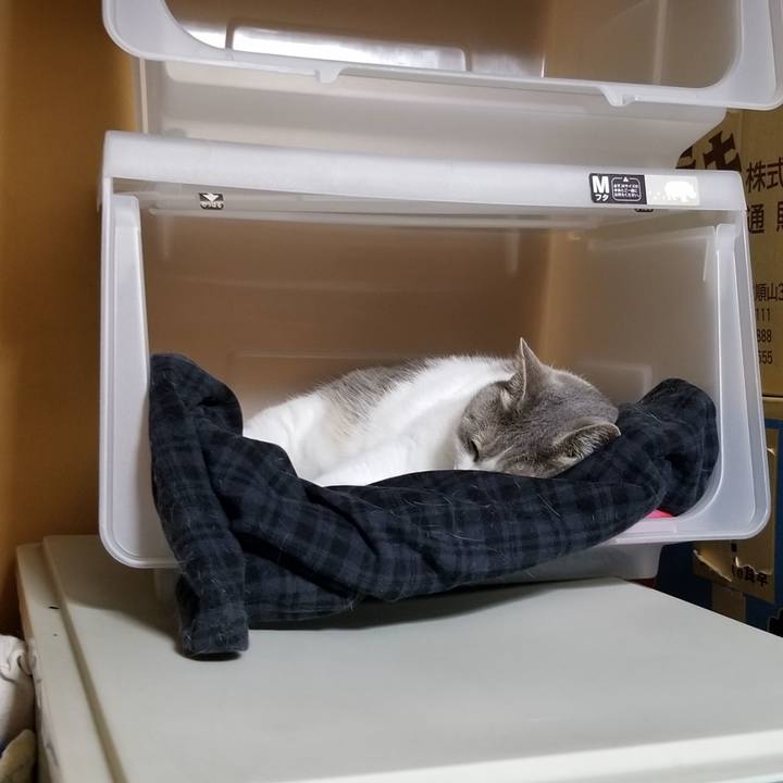 F452d673 40c3 4422 a836 2bc44d41905c 1655138602908