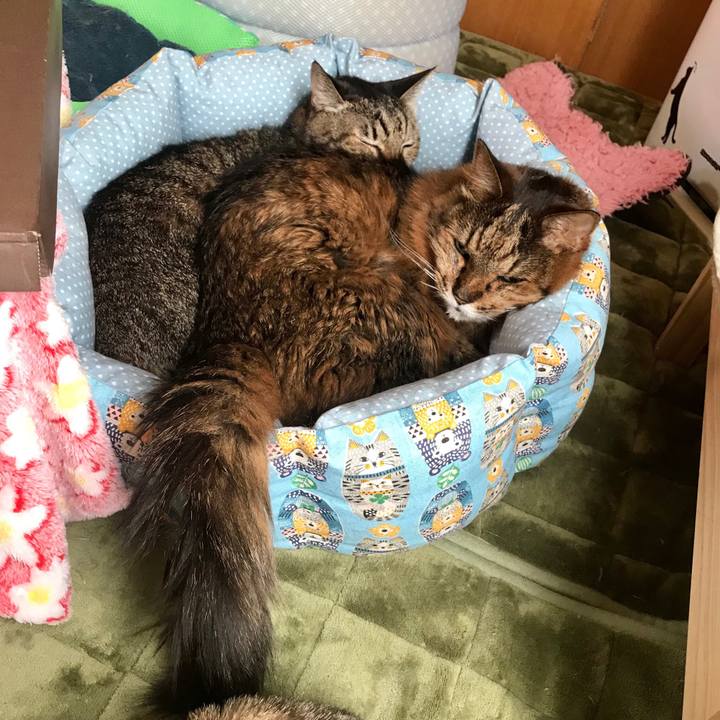 F452ea22 98fa 4579 849f 0fa63ae28a9f 1514340713944