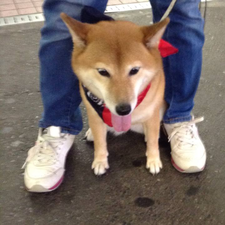 F452f75f dbee 405b 9ca5 7adb04164b5b 1533982245165