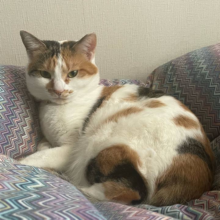 F4530e48 507a 4f16 8daa 3d3c49fb9596 1639897275740