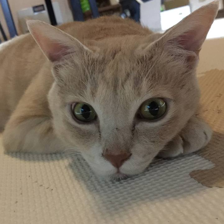 F45325c4 ef64 4260 966e b8a26430afd3 1624969927908