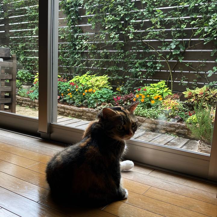 F45333e4 404a 4a8c bbcd 0514c59ec977 1759455613349