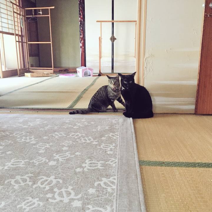 F4533b37 f961 466f 958a fc4dc5cc02ce 1533111095880