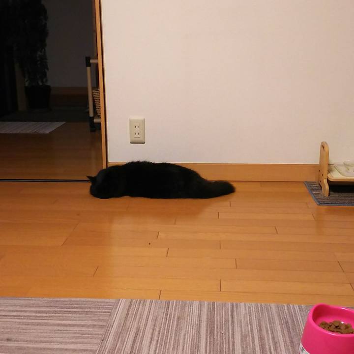 F4534e63 049c 4030 88be e2fdd269b3c2 1529932701514