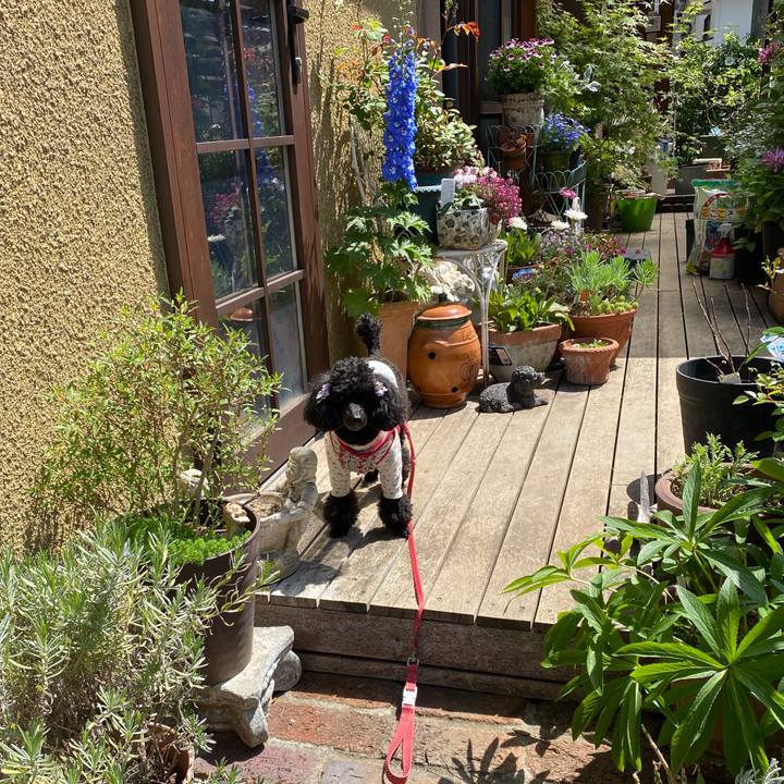 F4535334 48be 4031 9cf1 652a5fd93267 1618883898341