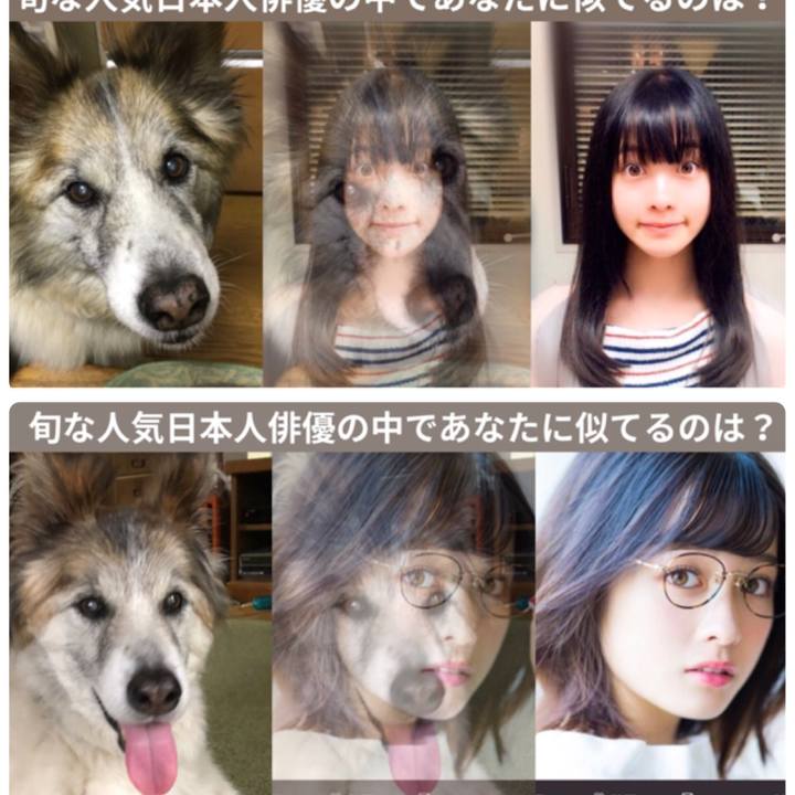 F4537684 36c6 4efe b1e5 2bc73fa7f76a 1528477493054